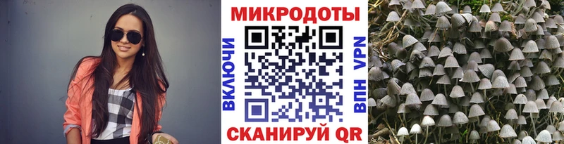 Галлюциногенные грибы мухоморы  Обоянь 